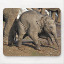 Suche nach niedliches kalb mousepads Baby