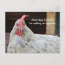 Suche nach funny rooster poster Spaß