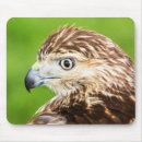 Suche nach falke mousepads Raubvogel