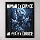 Suche nach zufall poster Frieden