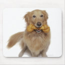 Suche nach hund und knochen mousepads Studioschuß