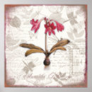Suche nach amaryllis poster Vintag