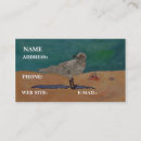 Suche nach seemöwe visitenkarten Meer