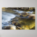 Suche nach süßwasser poster Strom