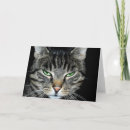 Suche nach angry karten Spaß