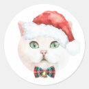 Suche nach shorthair Weihnachtsmannmütze