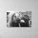 Suche nach lächeln poster leinwandbilder Natur