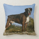 Suche nach position kissen Foto