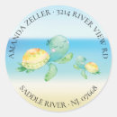 Suche nach turtle aufkleber Unter dem meer