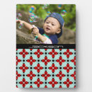 Suche nach insekt fotoplatten Käfer