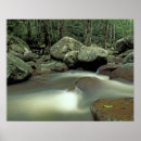 Suche nach thailand poster Regenwald