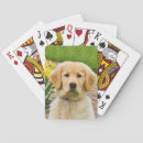Suche nach golden retriever spielzeug spiele Tiere