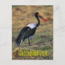 Suche nach schnabel postkarten Vogel