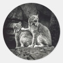 Suche nach luchs aufkleber Katze