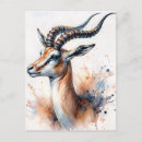 Suche nach gazelle postkarten Tierwelt