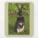 Suche nach rex mousepads Tier
