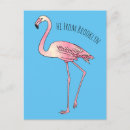 Suche nach vogel cartoons postkarten Flamingo