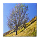 Suche nach hängen fliesen Natur
