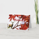 Suche nach mabon karten Harvest