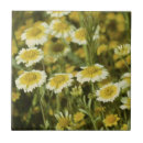 Suche nach gelbe blume fliesen Sonnenblume