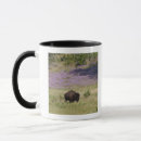 Suche nach amerikanischer bison tassen Natur