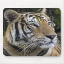 Suche nach nah mousepads Säugetier