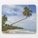 Suche nach baumstamm mousepads Natur