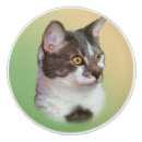 Suche nach schwarzweiss katze Katzen