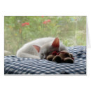 Suche nach schneewittchen postkarten Weiß