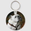 Suche nach bulldogge schlüsselanhänger Englisch