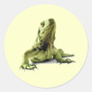 Suche nach leguane aufkleber Wild