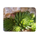 Suche nach cactus magnete Zuhause