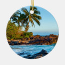 Suche nach strand ornamente hawaii