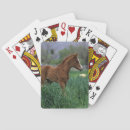 Suche nach araber spielkarten Horse