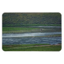 Suche nach pelikane magnete Vögel