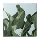 Suche nach palme fliesen Botanisch