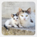 Suche nach zwei katzen aufkleber Katzenliebhaber