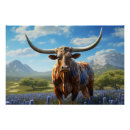 Suche nach longhorn poster Rinder