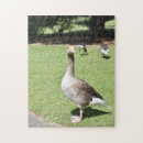 Suche nach königlich puzzle London