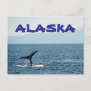 Suche nach wal postkarten Alaska