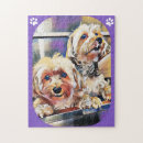 Suche nach havaneser puzzle Haustier