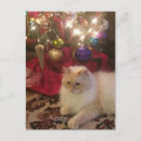 Suche nach sibirische katzen postkarten Weihnachten