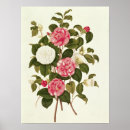 Suche nach englischer garten poster Gärten