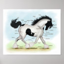 Suche nach sinti und roma poster Pony