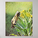 Suche nach gelbe blumen poster Wildblume