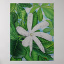 Suche nach tropischer garten poster Blumenreich