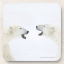 Suche nach angriff untersetzer Natur