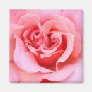 Suche nach blumenblätter magnete Rose