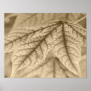 Suche nach plant poster Leaves