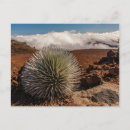 Suche nach cathy postkarten Jaynes gallery